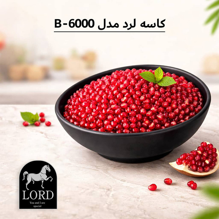 کاسه ملامین مدل B-6000